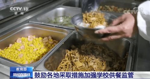 筑牢校園飲食安全網(wǎng) 教育部推動(dòng)加強(qiáng)供餐監(jiān)管，守護(hù)學(xué)生健康底線
